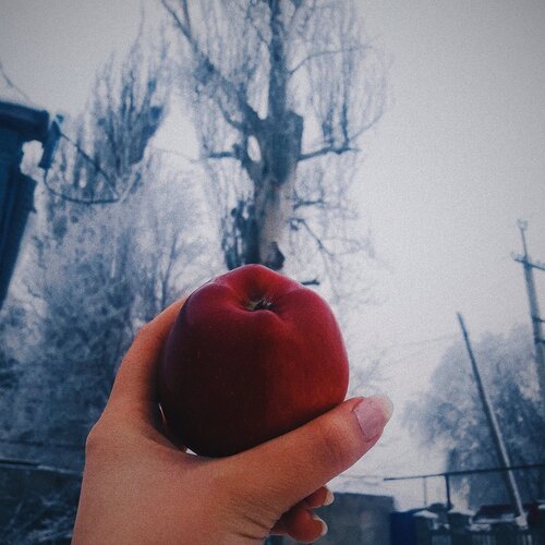 Apple