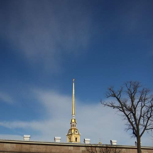 Photo #2168019