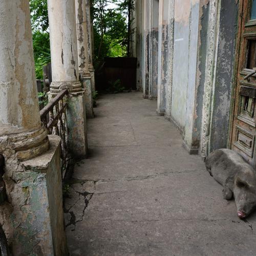 Photo #2170246