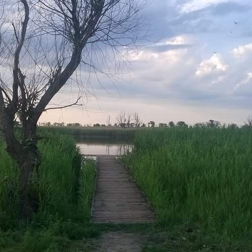Чудесное место.