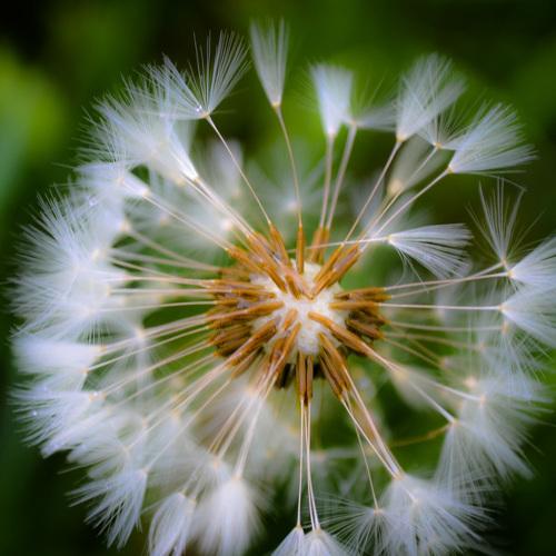 Fragile