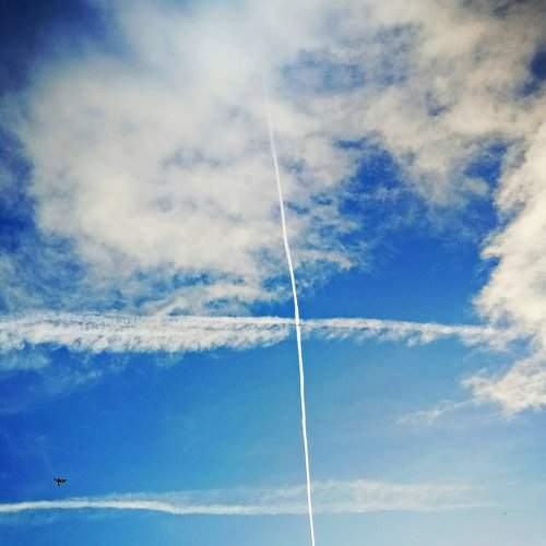 Flying Free