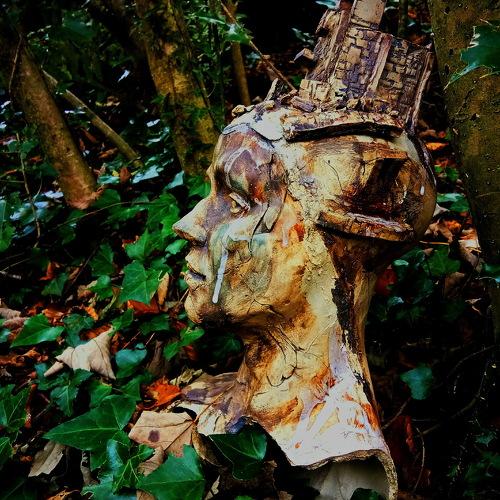 Queen of the woods
