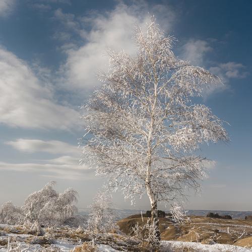 Photo #2172431