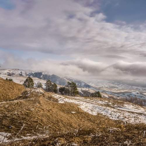 Photo #2172438
