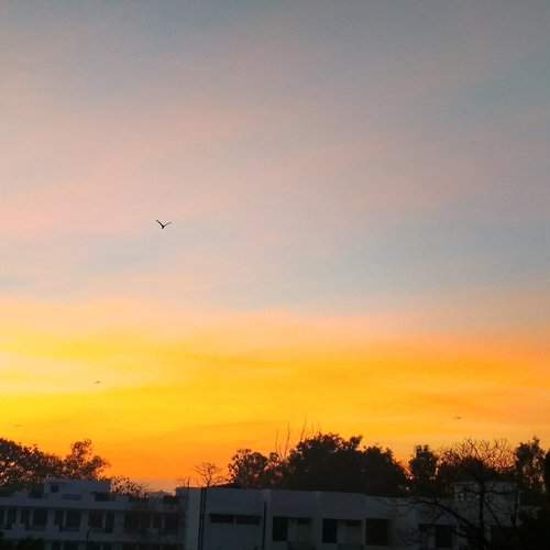 Sunrise