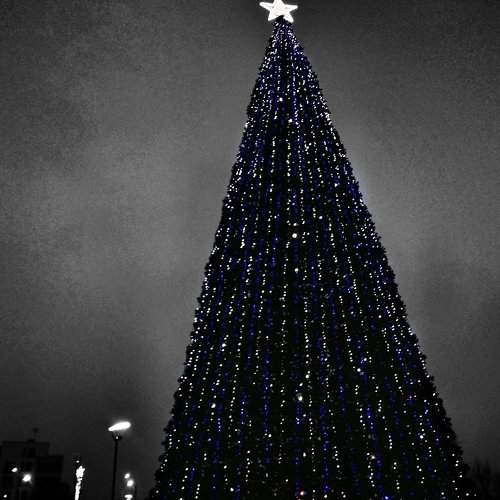 Photo #2175451