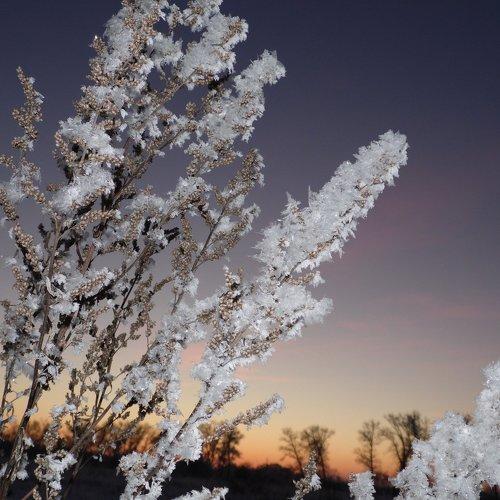 Photo #2176792