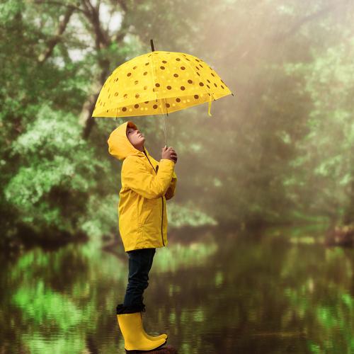 Rain