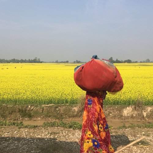 Red & Yellow ( R&Y)
