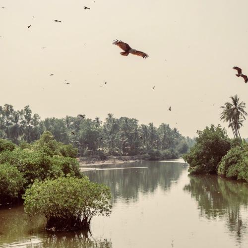 Photo #2180624