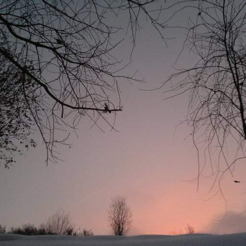 Зимнее утро / Winter morning