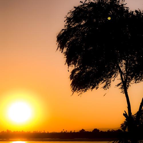 Golden Hour