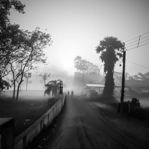 Beauty of the mist