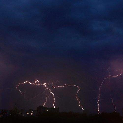 Photo #2182444