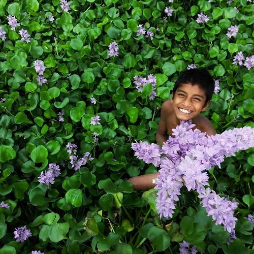 playing with water-hyacinth