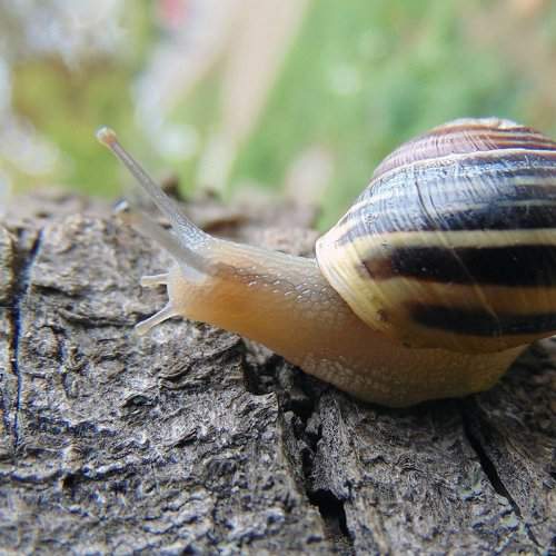 Photo #2183218