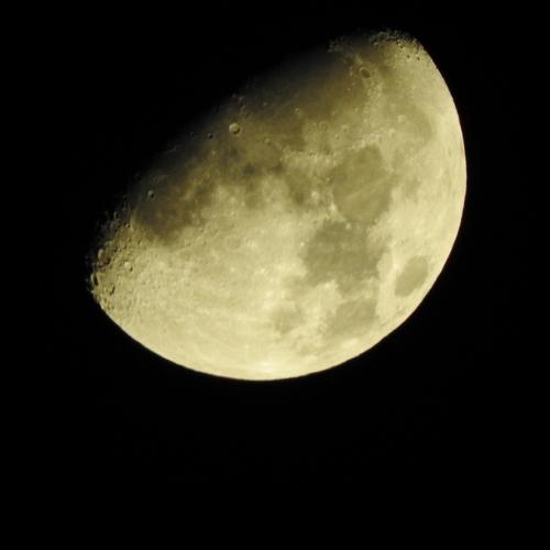 Photo #2183461