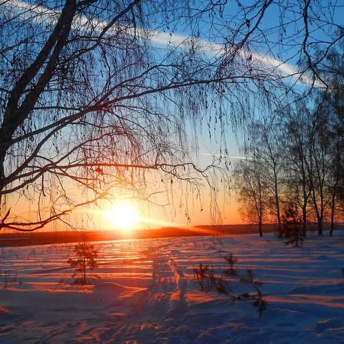 Photo #2184104