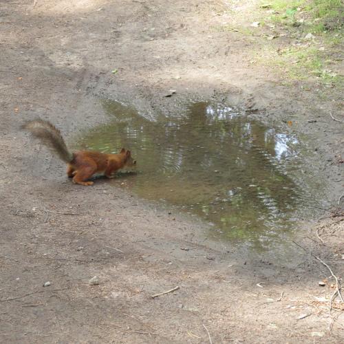 Photo #2184366