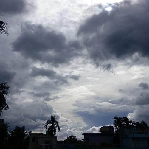 The overcast sky
