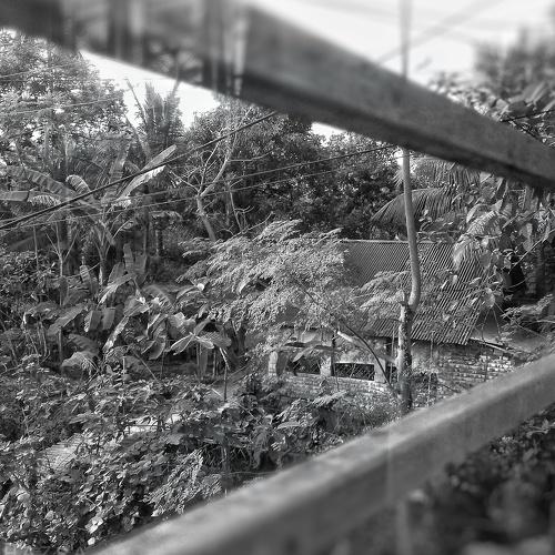 Beside window