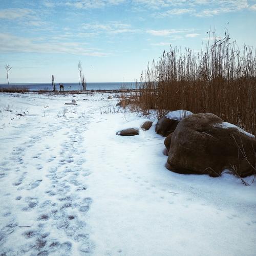 Снежная дорога