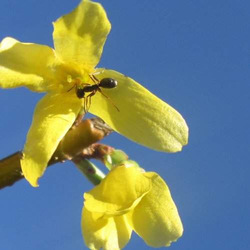 Photo #2187121