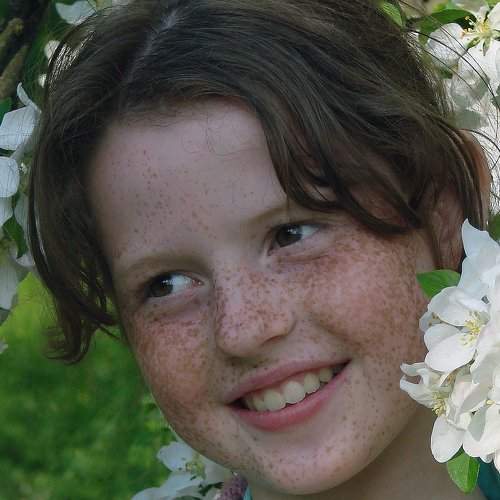 Photo #2187144