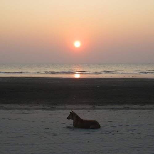 Lonely
