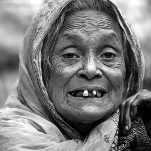 Lady and her teath