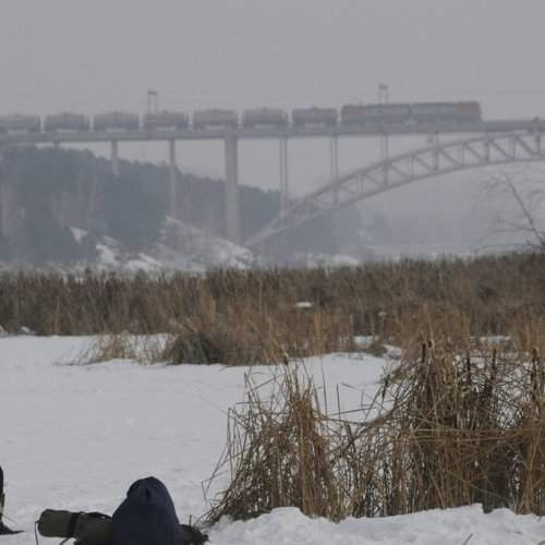 Photo #2191923