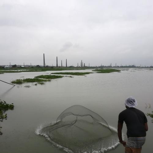 Catching  Fish  in canal of Bangladesh