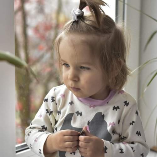 Photo #2193261