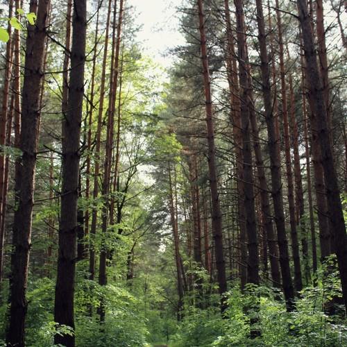 Photo #2193828