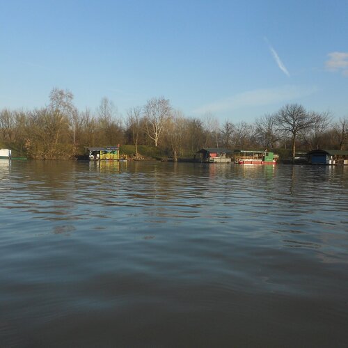 rafts on the river
