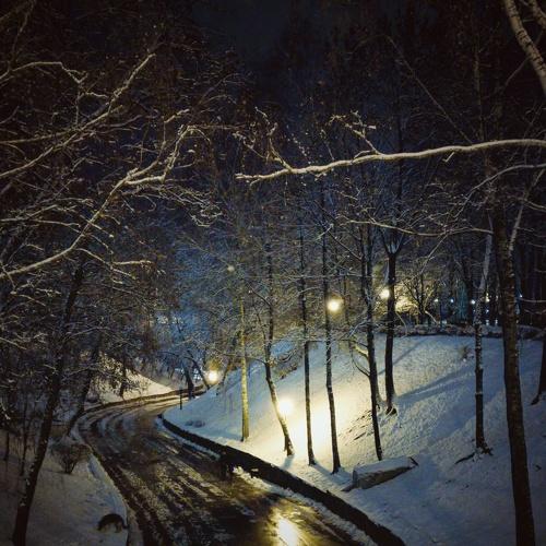 Дорожная