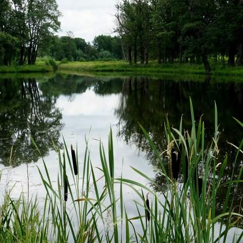 Окрестности г.Гродно. Белорусь
