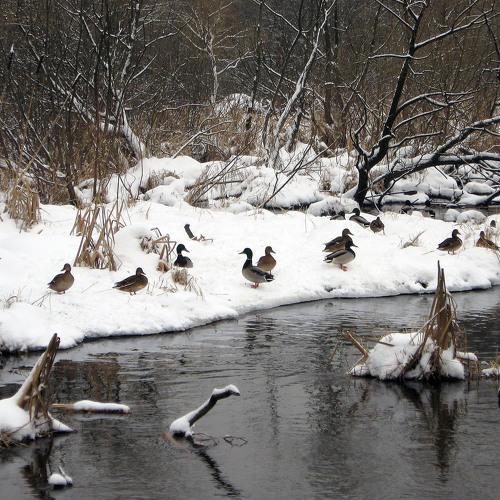 Photo #2197382