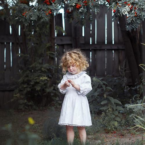 Photo #2197941