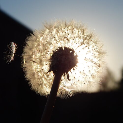Photo #2198581
