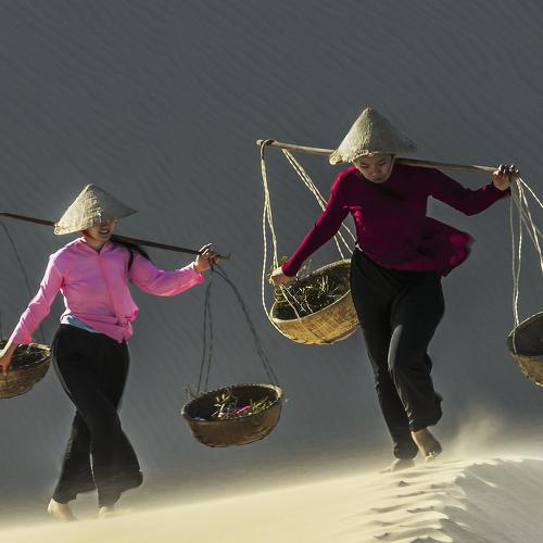 Against The Wind