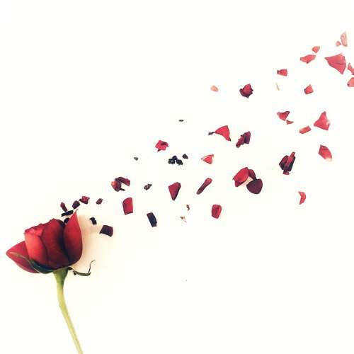 A Story About Love