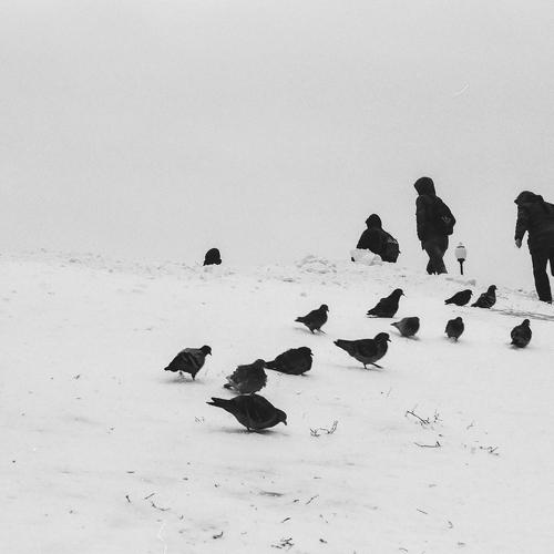 ascent