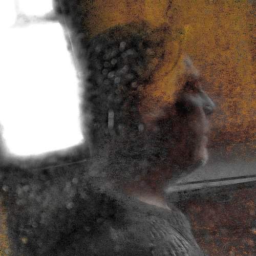 Photo #2199538