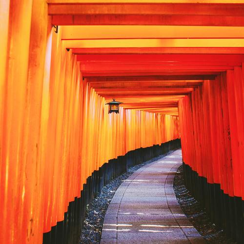 Torii at Fushimi Inari Shrine, Kyoto, Japan