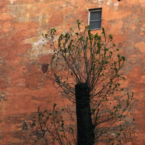 Photo #2201777