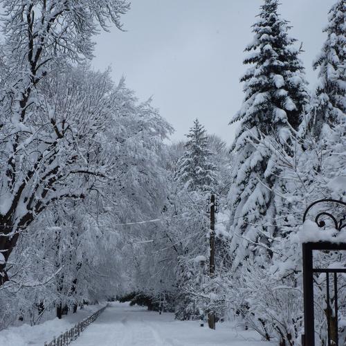 Після снігопаду