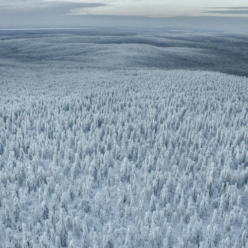 Бесконечные леса Красновишерска