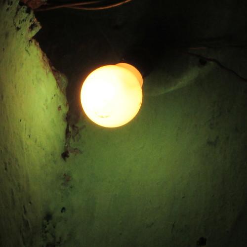 The light